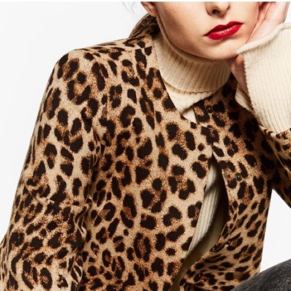 Zara frock coat--- leopard print NWT